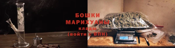 индика Белоозёрский