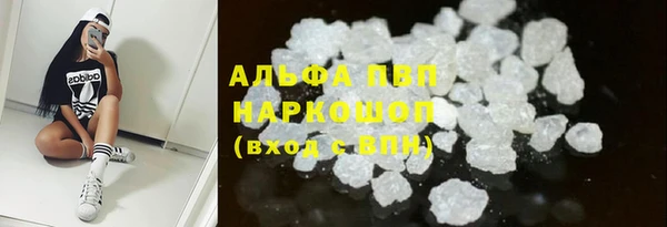 индика Белоозёрский