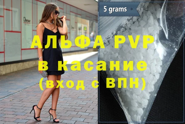 прущие крисы Белокуриха