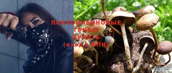 индика Белоозёрский
