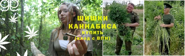 спайс Беломорск