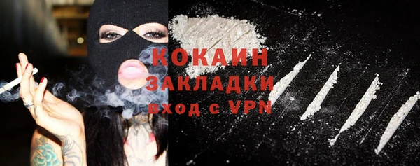 ECSTASY Богданович