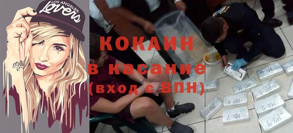 ECSTASY Богданович