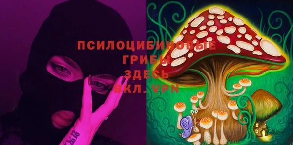 индика Белоозёрский