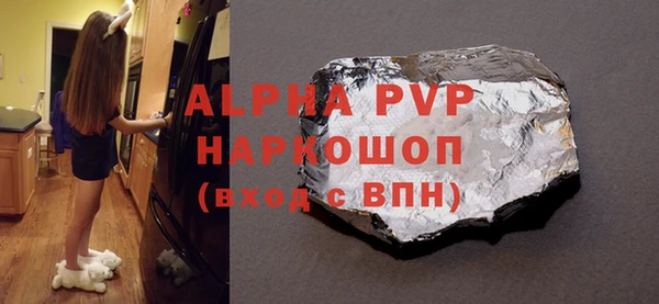 ECSTASY Богданович