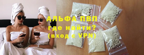 ECSTASY Богданович
