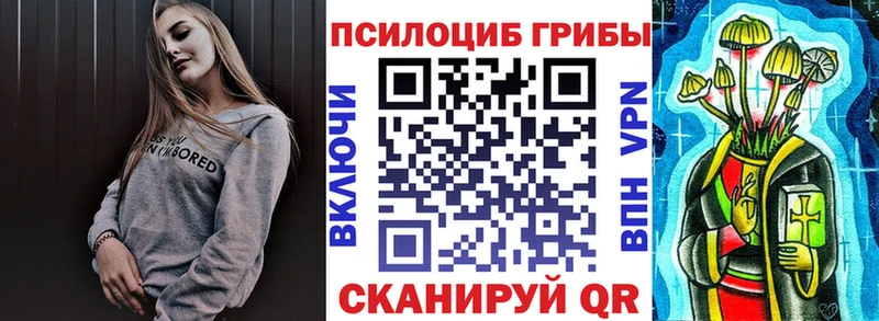 наркотики  Называевск  Галлюциногенные грибы Psilocybine cubensis 